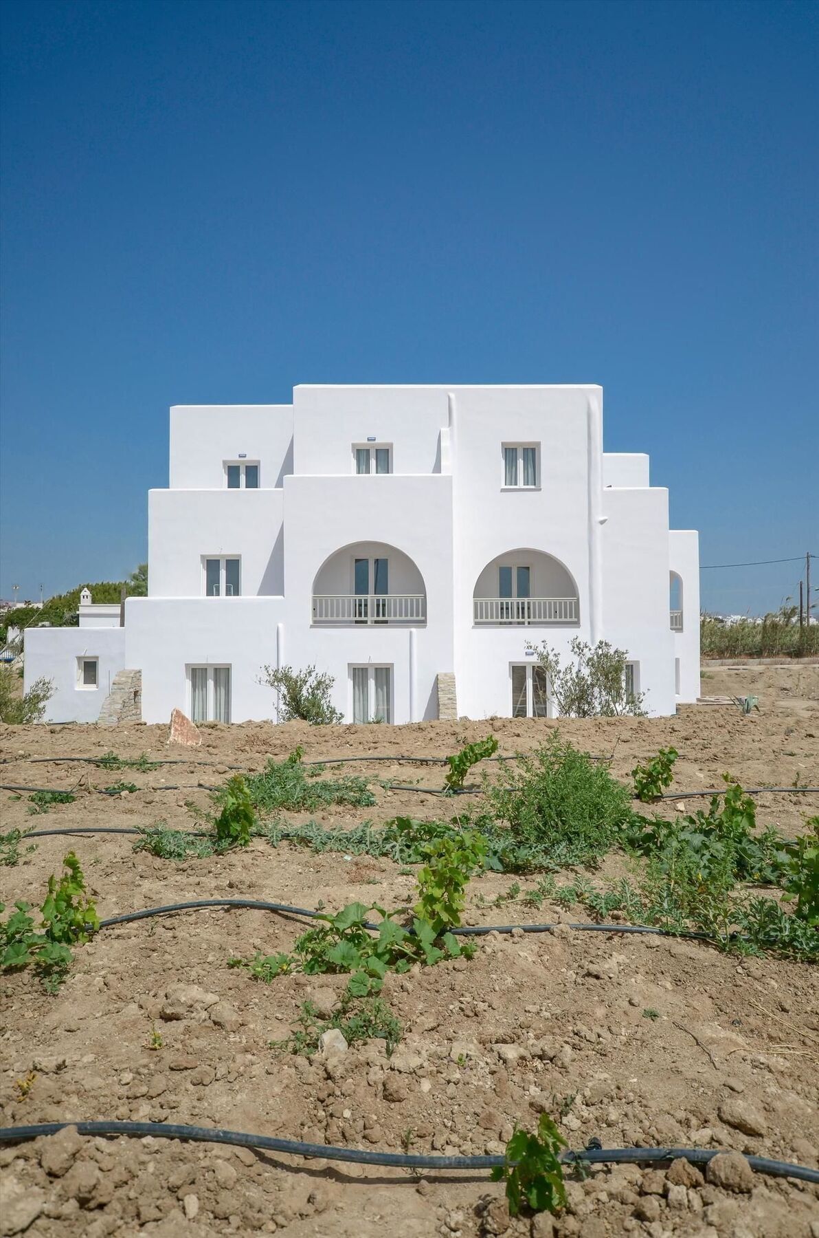 Ferienwohnung Ktima Lino Agia Anna  Exterior foto